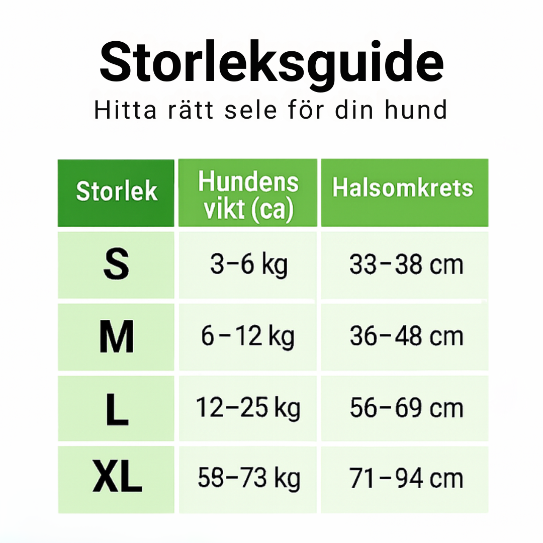 Lysande hundsele i LED Ljus